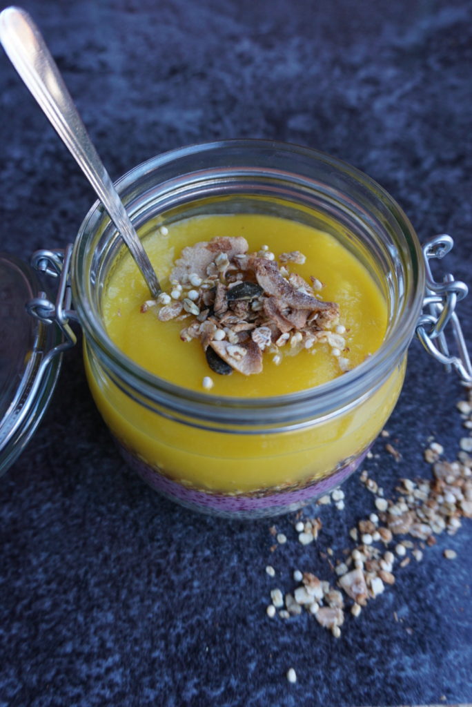 Chiapudding mit Mangopüree – Hista-Mi-Ri